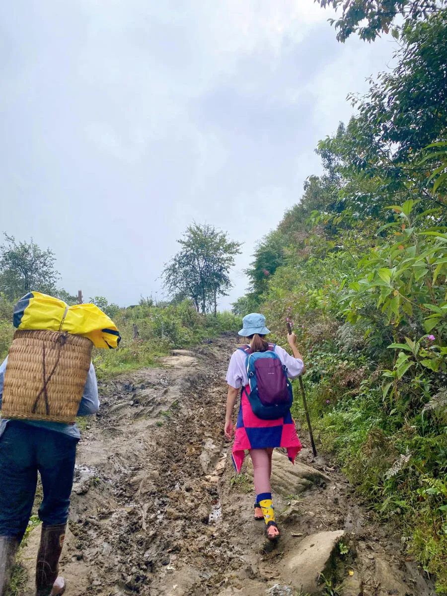 Trekking Lảo Thẩn săn biển mây và rừng hoa chi pâu đẹp tuyệt sắc