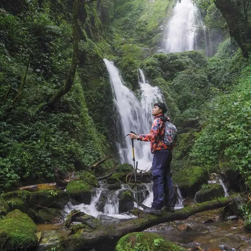 Trekking Lùng Cúng Yên Bái, điểm đến ấn tượng giữa rừng già