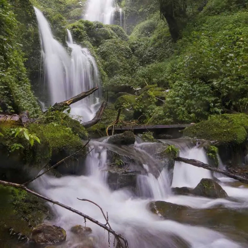 Trekking Lùng Cúng Yên Bái, điểm đến ấn tượng giữa rừng già