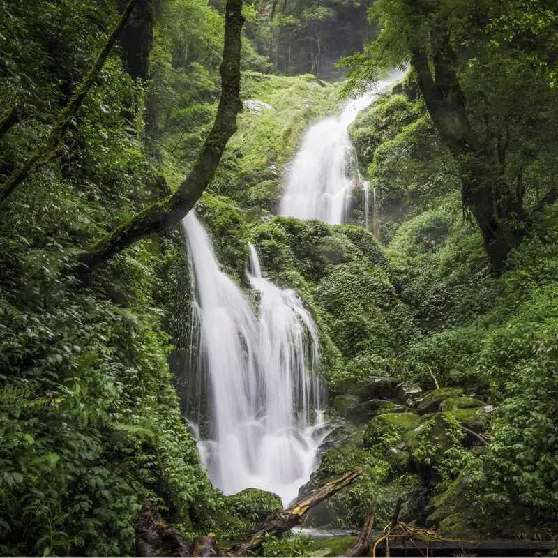 Trekking Lùng Cúng Yên Bái, điểm đến ấn tượng giữa rừng già