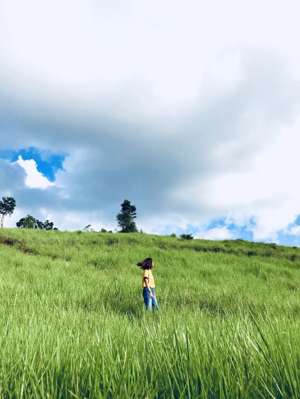 Trekking Măng Đen, chinh phục những cung đường tuyệt đẹp