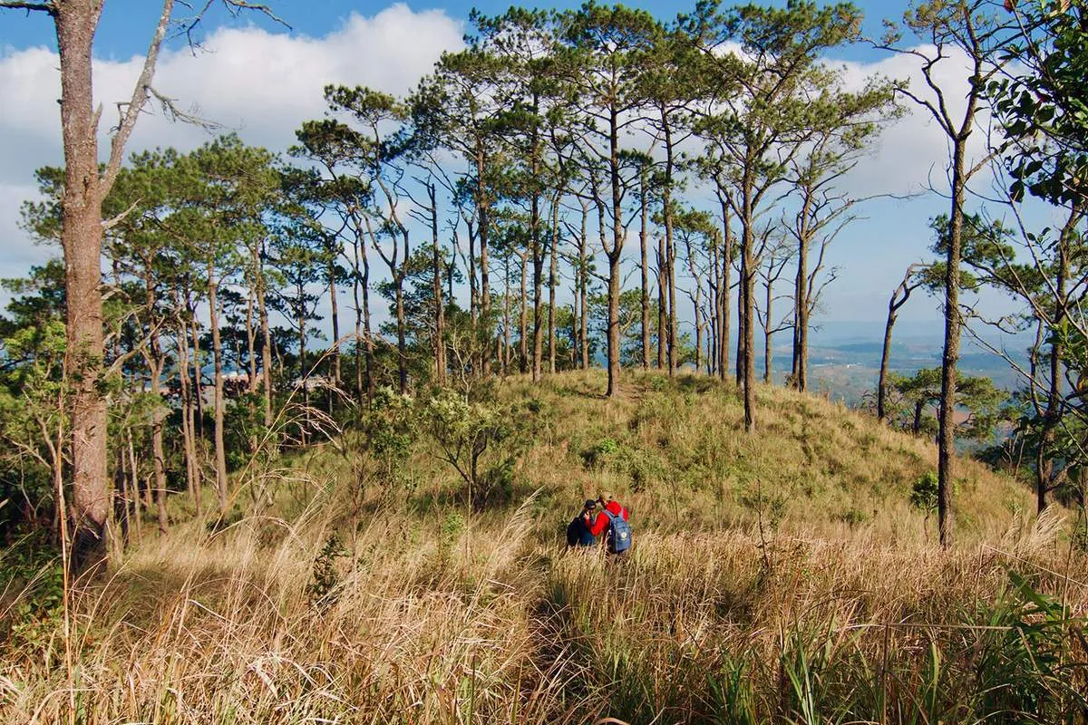 Trekking Măng Đen, chinh phục những cung đường tuyệt đẹp