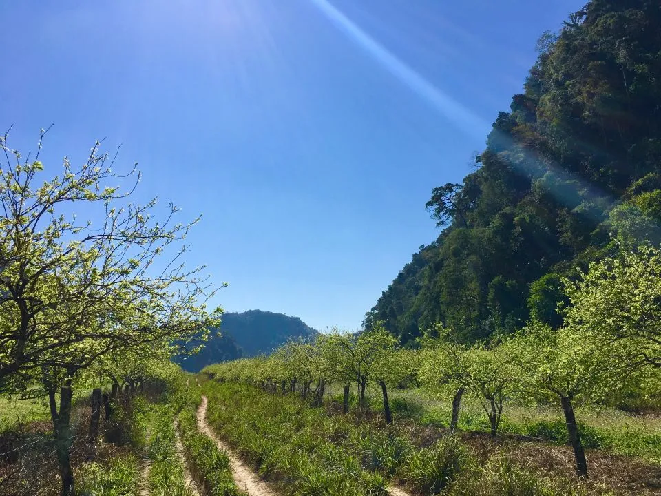 Trekking Mu Náu – Phiêng Cành trên nóc nhà Mộc Châu