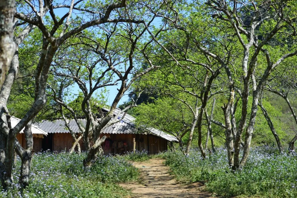 Trekking Mu Náu – Phiêng Cành trên nóc nhà Mộc Châu