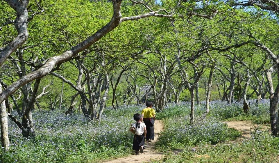 Trekking Mu Náu – Phiêng Cành trên nóc nhà Mộc Châu