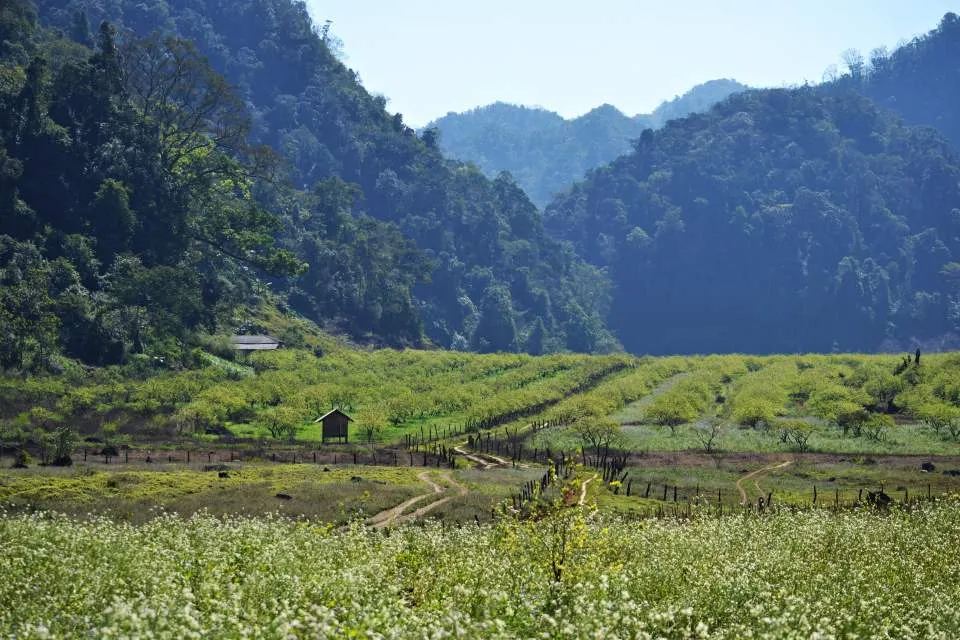 Trekking Mu Náu – Phiêng Cành trên nóc nhà Mộc Châu