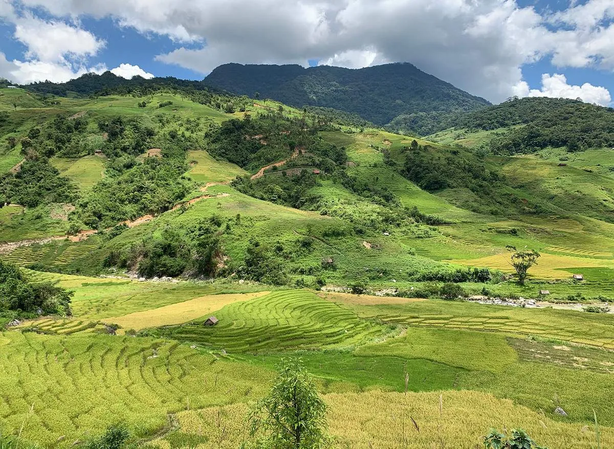 Trekking núi Ngọc Linh, hành trình chinh phục nóc nhà Tây Nguyên