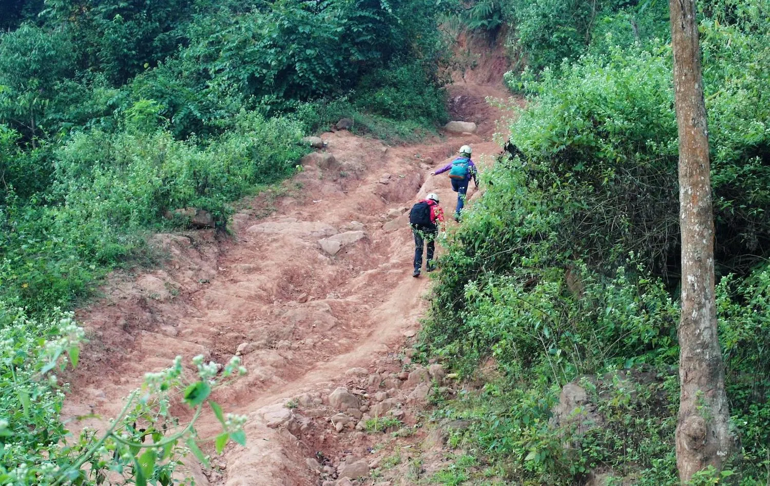 Trekking Pha Luông – Hành trình chinh phục nóc nhà Mộc Châu