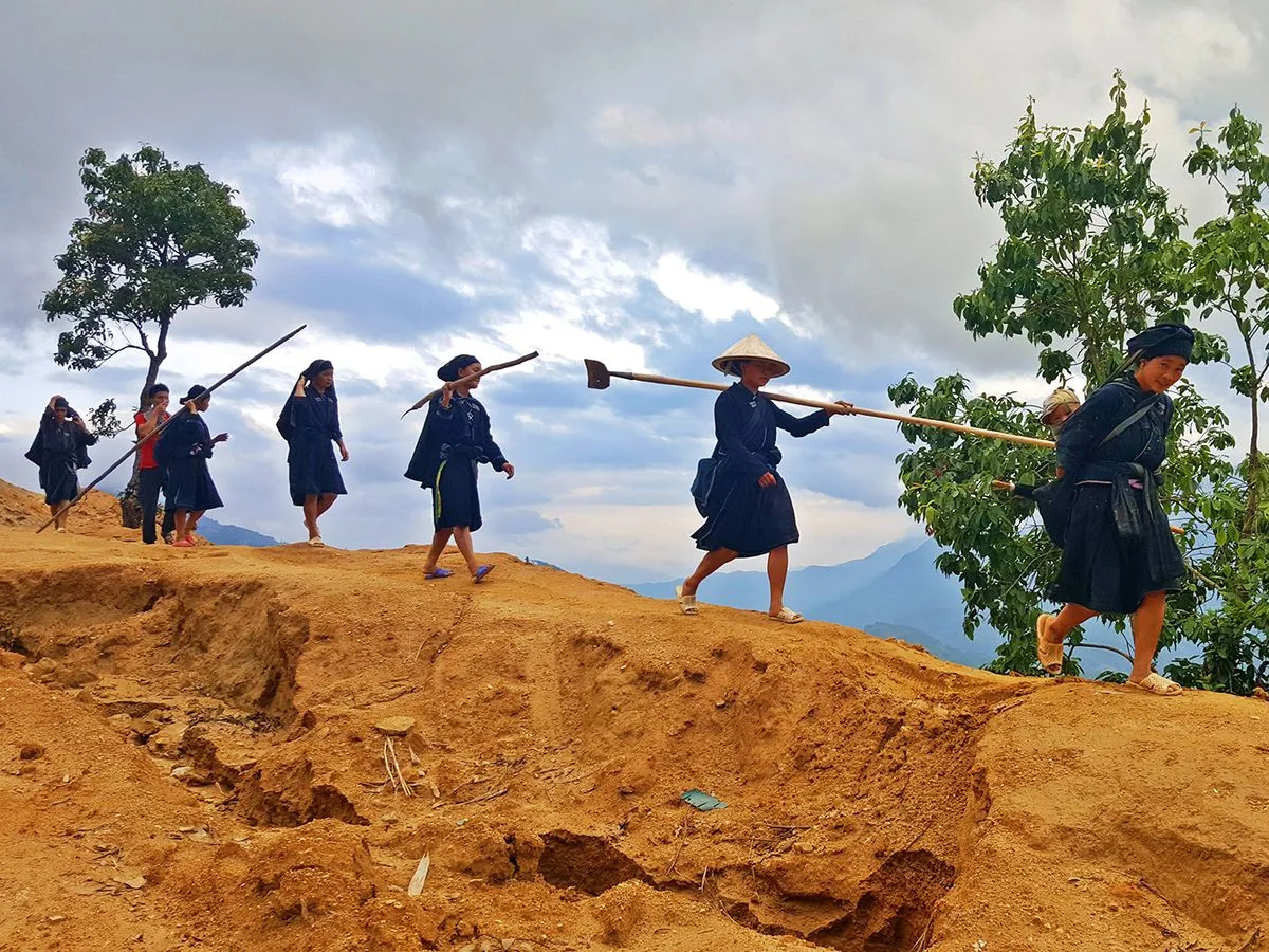 Trekking Tây Côn Lĩnh – Hành trình tận hưởng cảm giác làm chủ đất trời