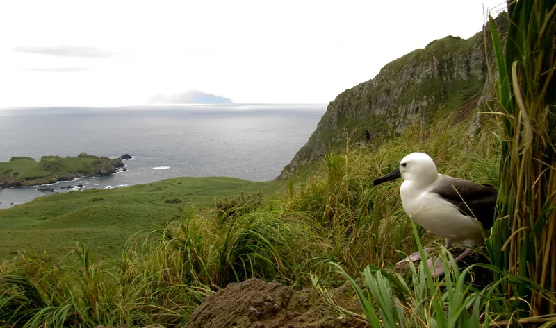 Tristan da Cunha miền đất cô độc giữa Nam Đại Tây Dương