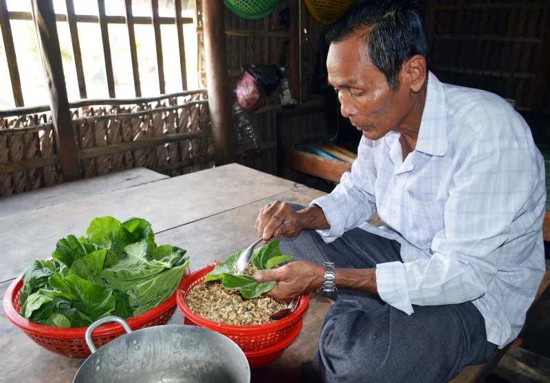 Trọn bộ Kinh nghiệm khám phá rừng quốc gia U Minh Thượng