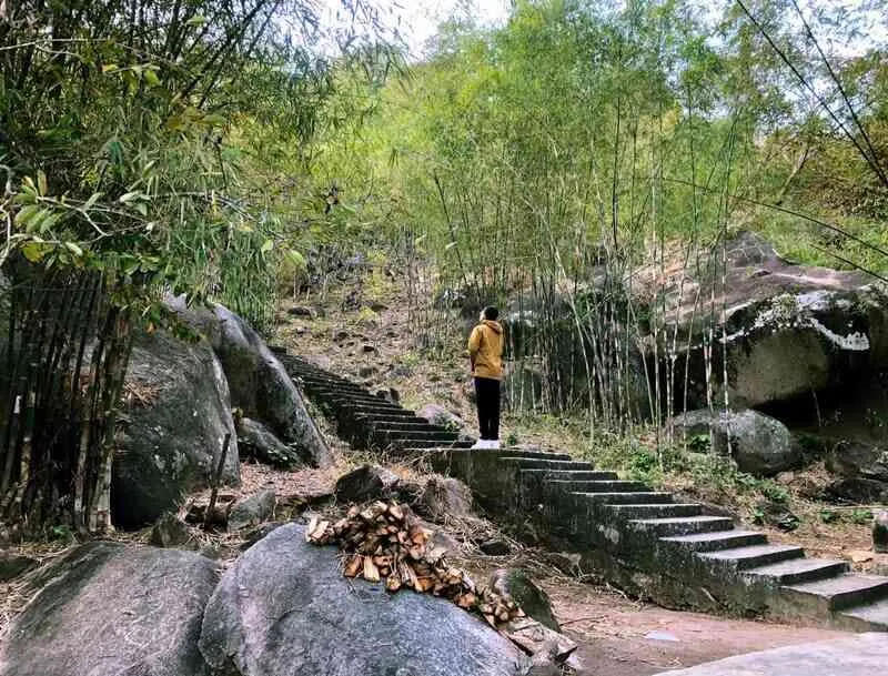 Tú Dương Miếu, điểm đến yên ắng nép mình bên rừng trúc