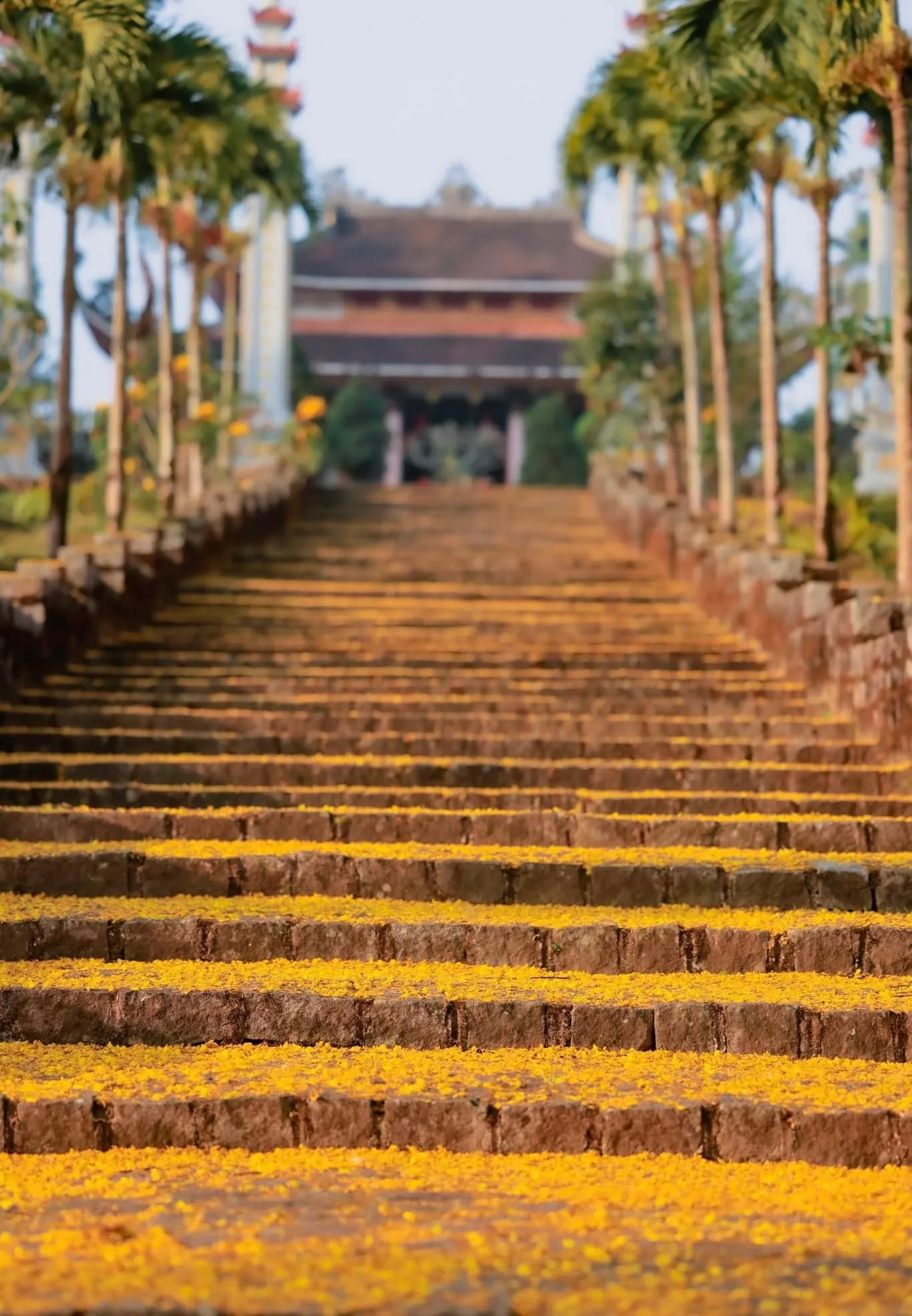 Tu viện Bát Nhã, vẻ đẹp nao lòng người