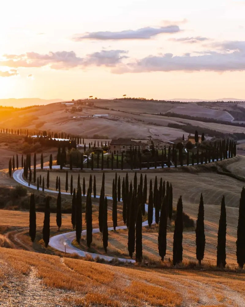 Tuscany, vùng đất lãng mạn của hoa hồng và rượu vang