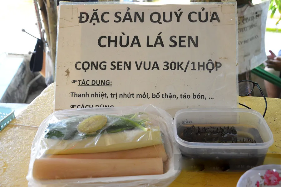 Vãn cảnh chùa Lá Sen, chiêm ngưỡng “vua” của các loại sen khổng lồ