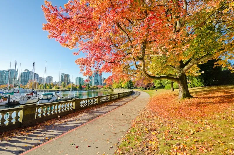 Vancouver, thành phố cảng căng tràn nhựa sống ở Tây Canada