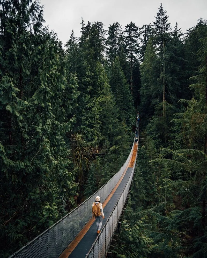 Vancouver, thành phố cảng căng tràn nhựa sống ở Tây Canada