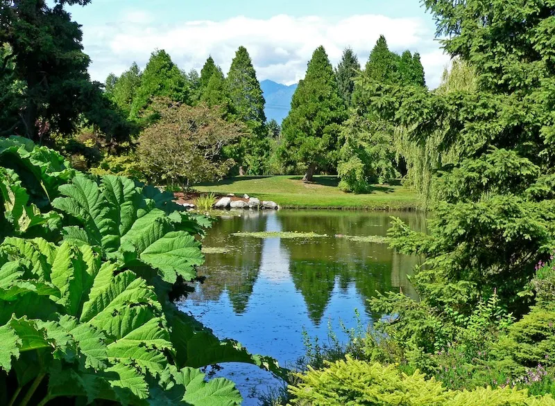 Vancouver, thành phố cảng căng tràn nhựa sống ở Tây Canada