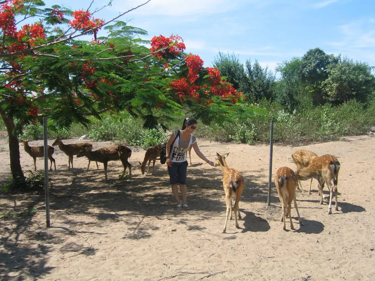 Về đảo Hoa Lan Nha Trang và chìm đắm trong cảnh sắc thiên nhiên tuyệt vời