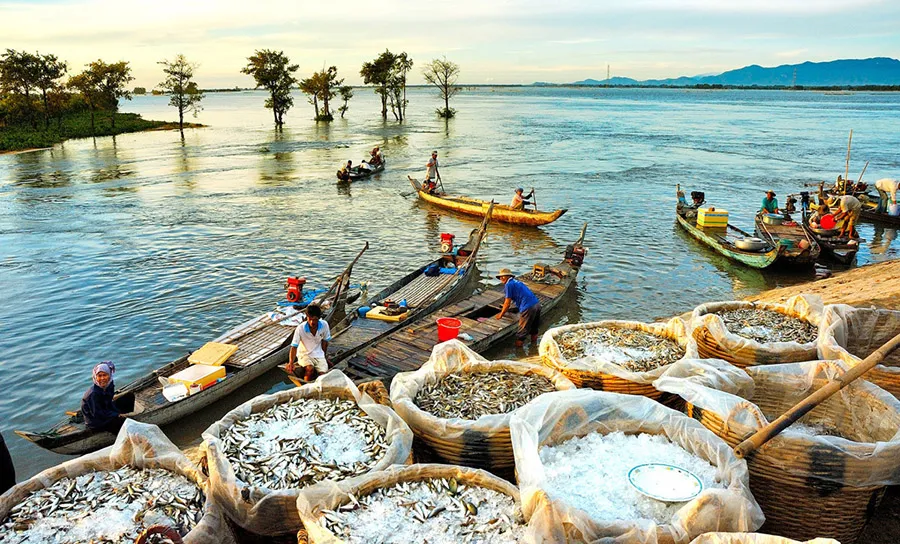 Vẻ đẹp mùa nước nổi An Giang khiến bất cứ ai cũng phải say lòng