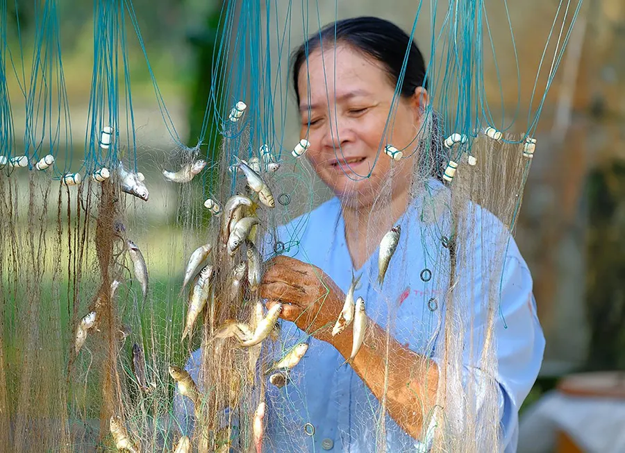 Vẻ đẹp mùa nước nổi An Giang khiến bất cứ ai cũng phải say lòng