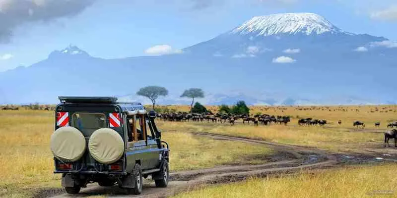 Về Kilimanjaro đi tìm nóc nhà Châu Phi huyền bí