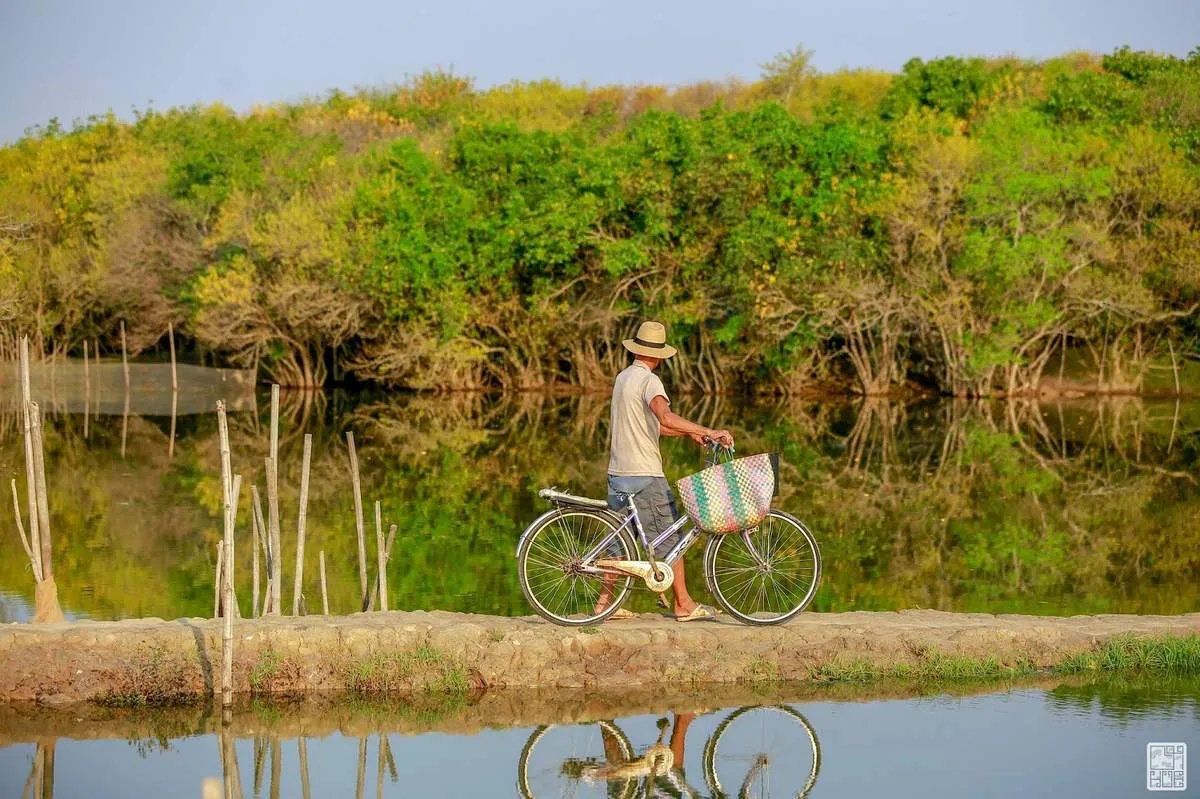 Về rừng ngập mặn Rú Chá rảo bước giữa lá phổi xanh trong lòng đất Huế