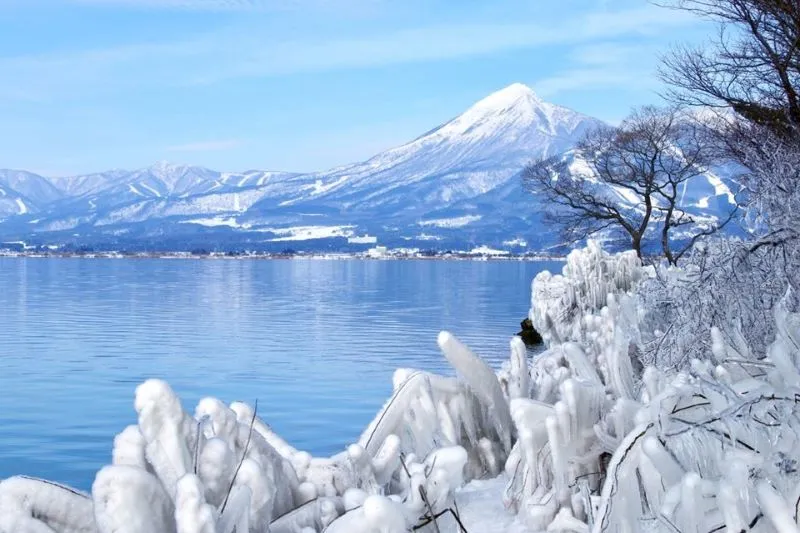 Về thăm Fukushima, nơi sự sống hồi sinh tại xứ sở mặt trời mọc