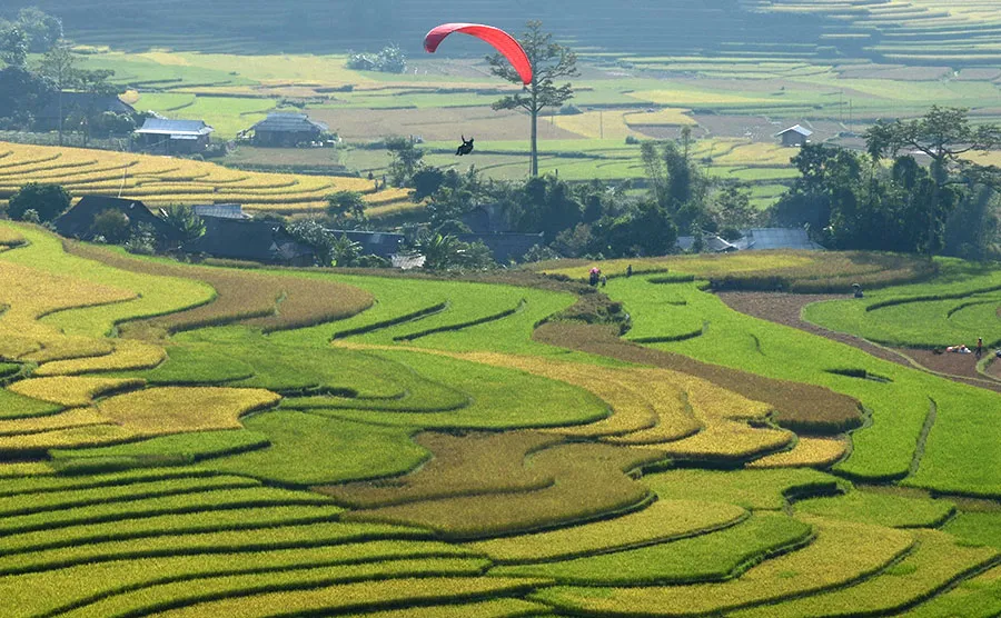 Về thăm Làng hoa Hạ Lũng để được chiêm ngưỡng vô vàn các loài hoa