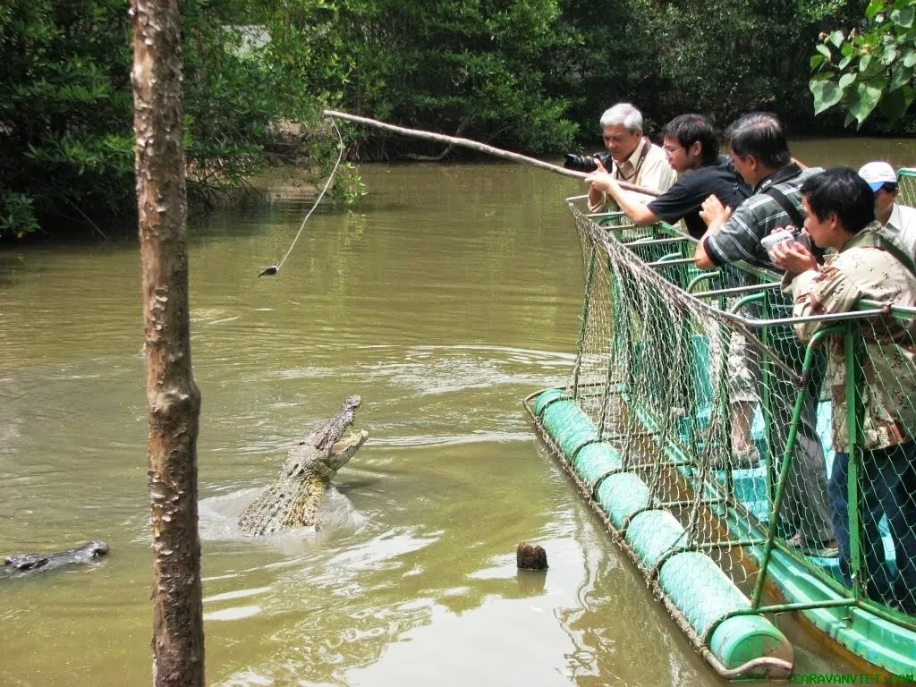 Về với thiên nhiên tại khu du lịch sinh thái Vàm Sát Cần Giờ