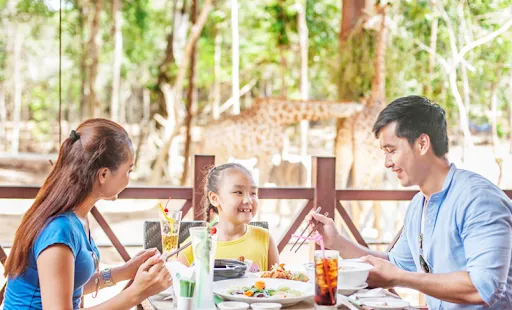 Vinpearl Safari Phú Quốc – Review từ A-Z mô hình bán sở thú hoang dã đầu tiên tại Việt Nam