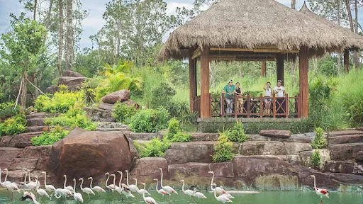 Vinpearl Safari Phú Quốc – Review từ A-Z mô hình bán sở thú hoang dã đầu tiên tại Việt Nam