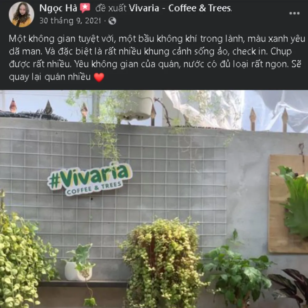 Vivaria – Coffee & Trees – Khu vườn nghệ thuật ngay giữa lòng thành phố