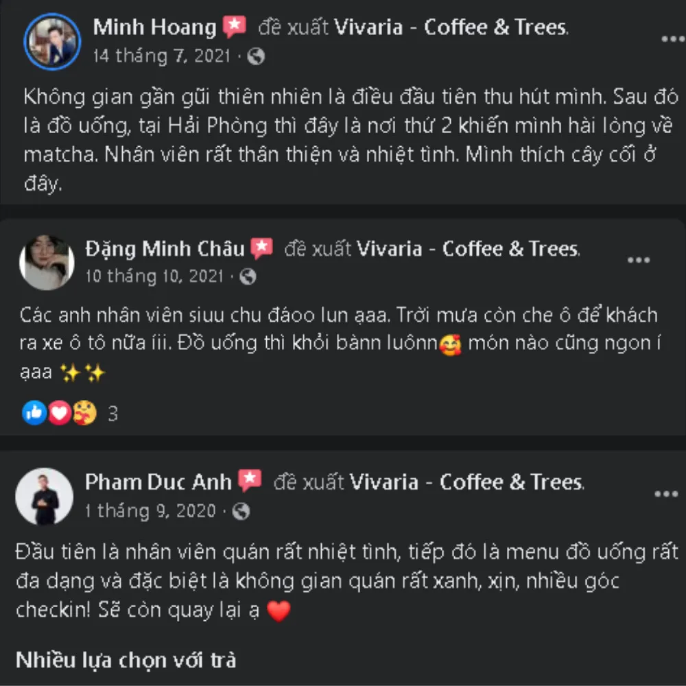 Vivaria – Coffee & Trees – Khu vườn nghệ thuật ngay giữa lòng thành phố