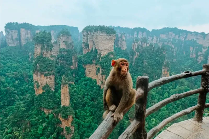 Vũ Lăng Nguyên tiên cảnh trần gian tại Trương Gia Giới