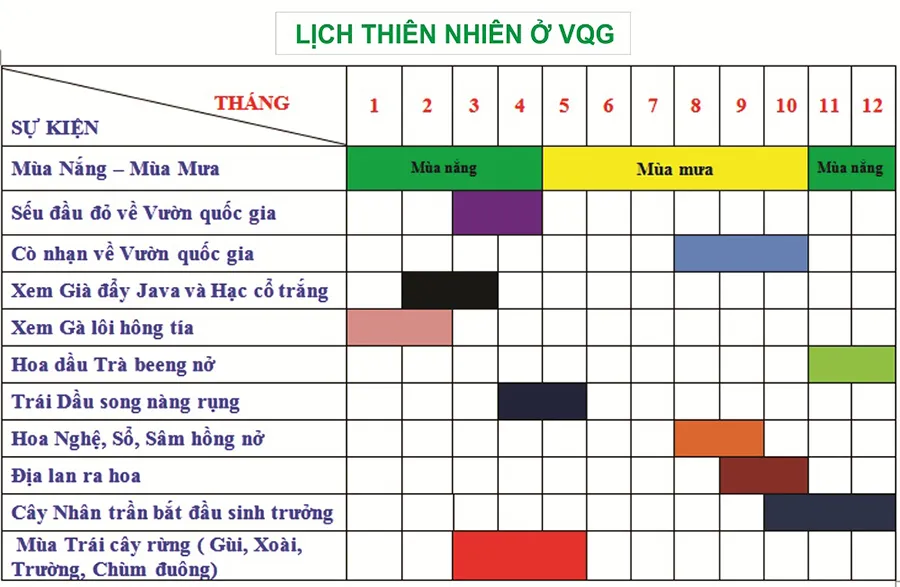 Vườn Quốc gia Lò Gò – Xa Mát, vẻ đẹp của thiên nhiên kỳ diệu