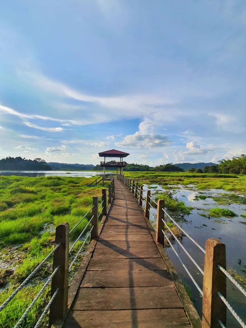 Vườn Quốc gia Nam Cát Tiên, “mãn nhãn” bởi thiên nhiên tươi đẹp