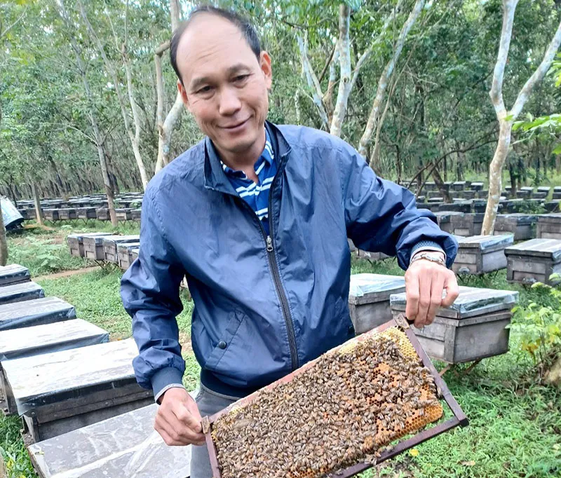 Vườn quốc gia Xuân Thủy, khu RAMSAR độc nhất tại Nam Định