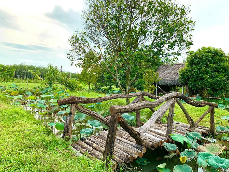 Vườn trái cây 8 Hòa, địa điểm du lịch sinh thái không thể bỏ qua