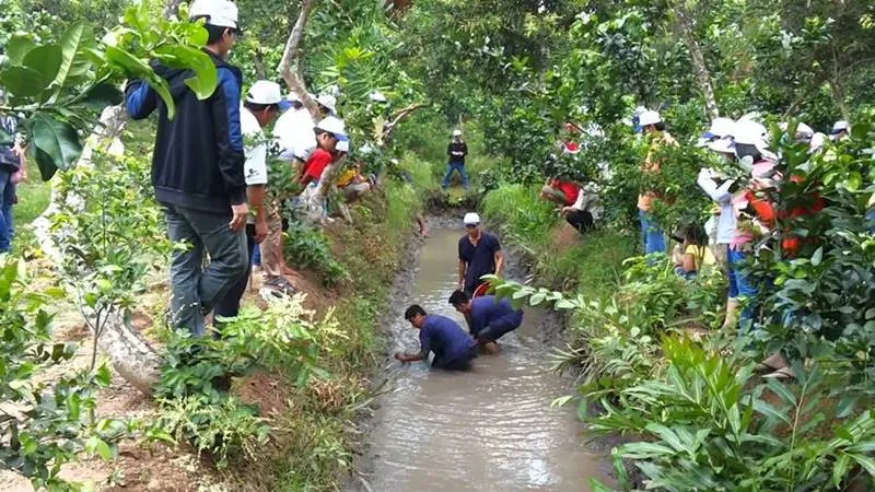 Vườn trái cây Cái Mơn, tọa độ giải nhiệt ngày nắng nóng