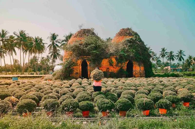 Vườn trái cây Cái Mơn, tọa độ giải nhiệt ngày nắng nóng