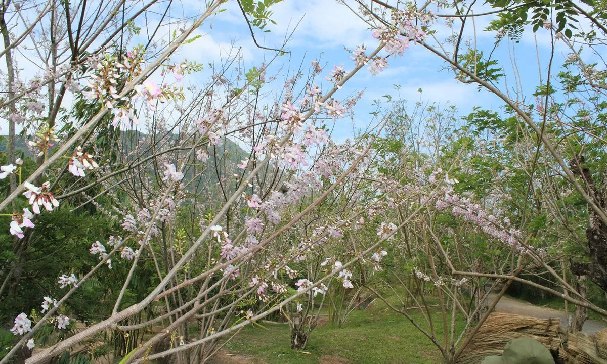 Waterland Thạch Lâm – Khu vui chơi giải trí đa sắc màu của thành phố biển Nha Trang