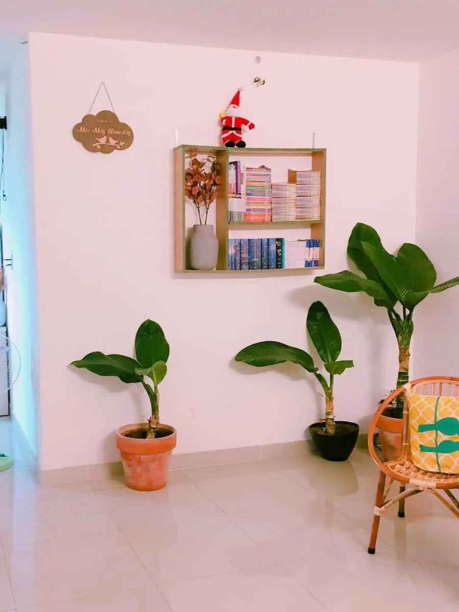 Xiêu lòng trước vẻ đẹp cổ điển giữa thành phố tại Mộc Mây Homestay Vũng Tàu