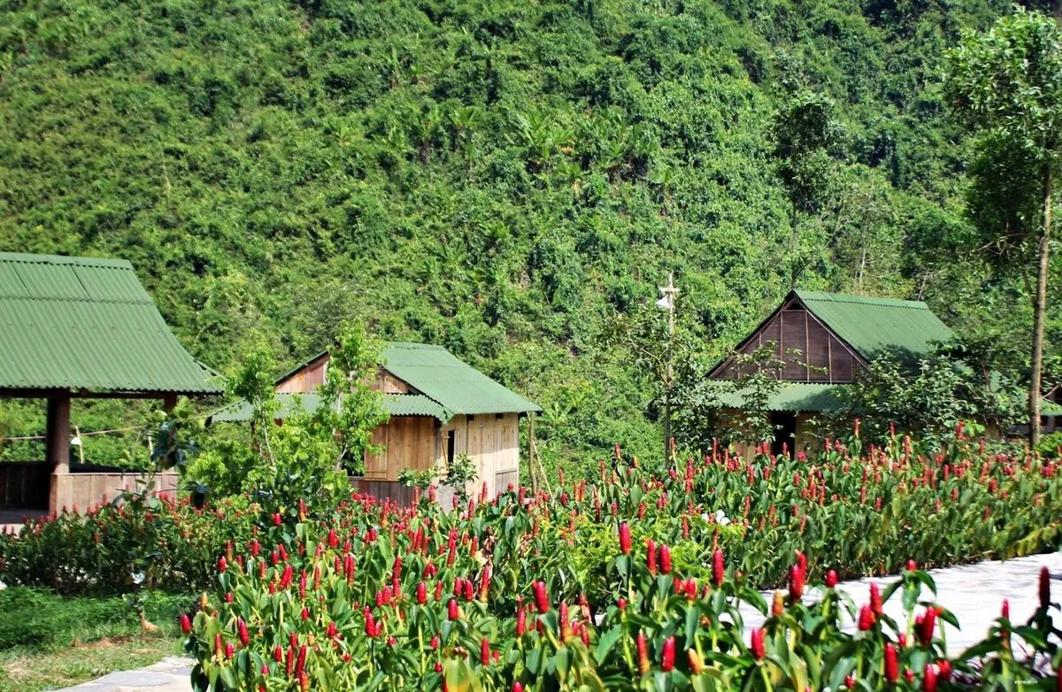 Xõa banh nóc với trải nghiệm trượt thác dài 3km thót tim ở Thác nước Hòa Phú Thành, Đà Nẵng