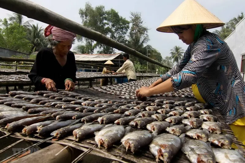 Xuôi về đất mũi thưởng thức 12 đặc sản Cà Mau thơm ngon nức tiếng