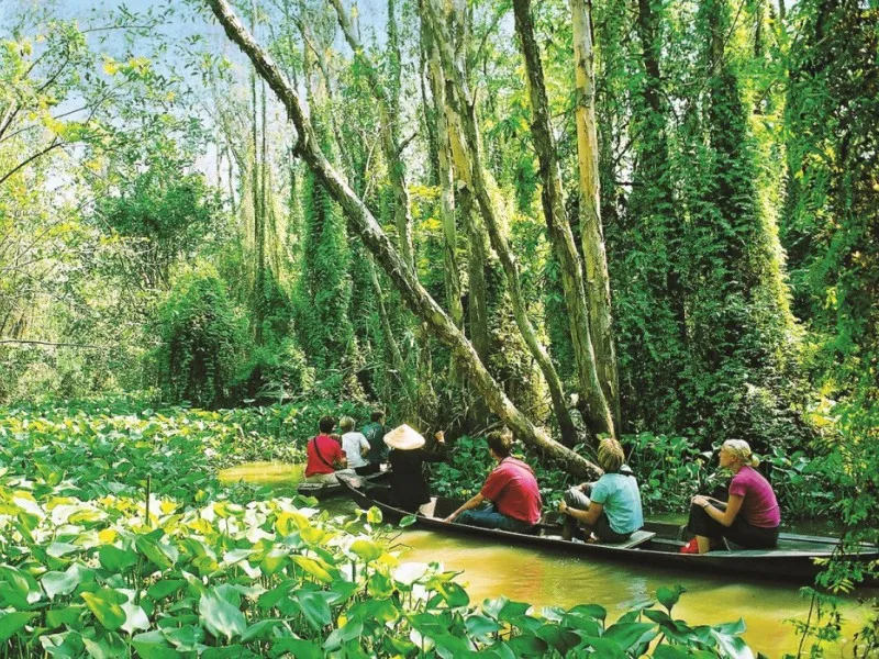 Xuôi về miền Tây tham quan 9 điểm du lịch Đồng Tháp nổi tiếng