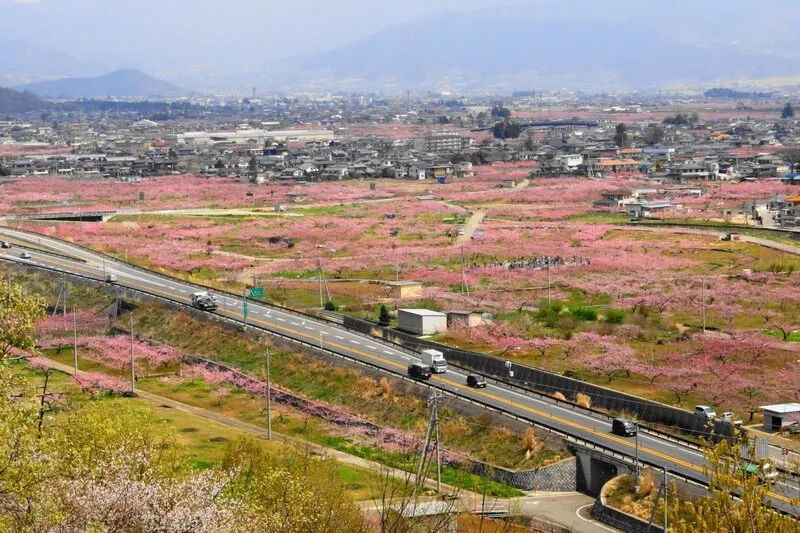 Yamanashi quê hương của ngọn núi Phú Sĩ Nhật Bản