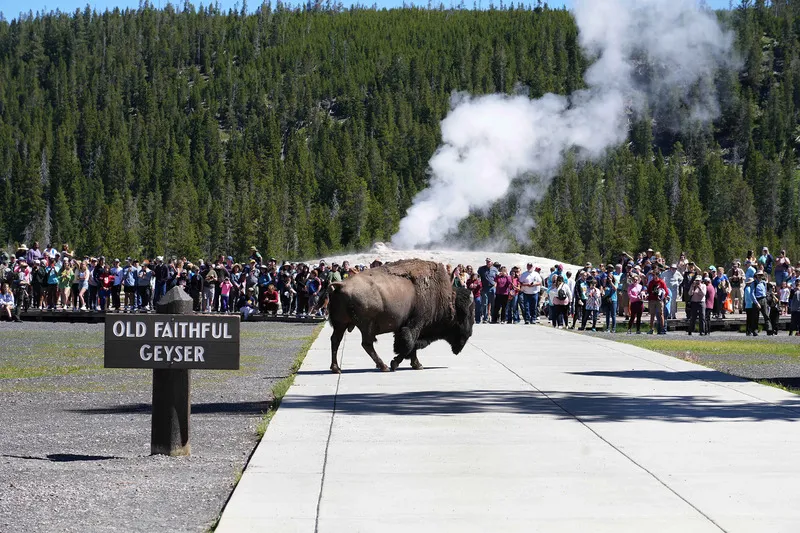 Yellowstone vườn quốc gia lâu đời nhất nước Mỹ và thế giới